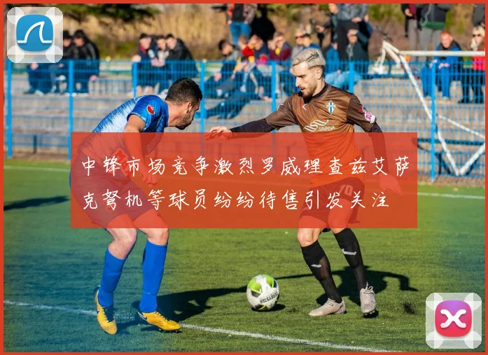 中锋市场竞争激烈罗威理查兹艾萨克弩机等球员纷纷待售引发关注