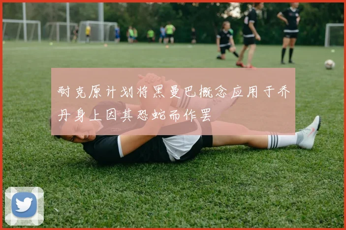 耐克原计划将黑曼巴概念应用于乔丹身上因其恐蛇而作罢