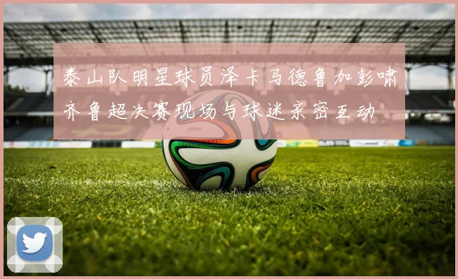 泰山队明星球员泽卡马德鲁加彭啸齐鲁超决赛现场与球迷亲密互动