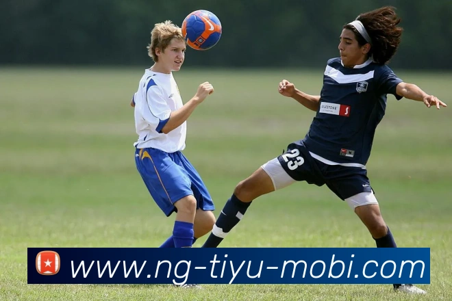 App Interface Preview