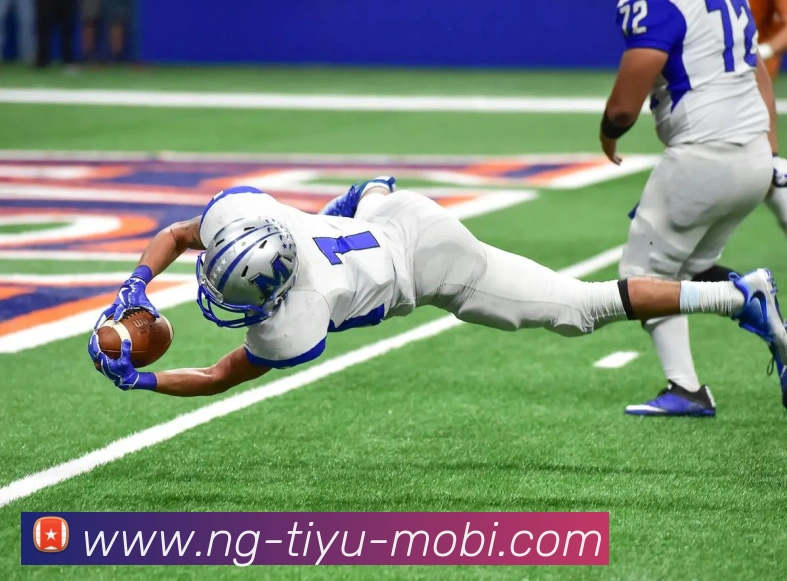 南宫体育APP 封面图